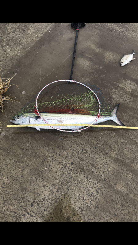 雨上が止んだのでお昼の暇潰しに！