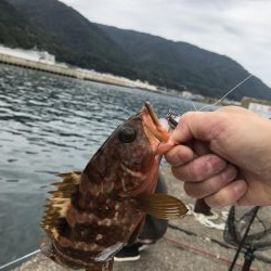短時間釣行
