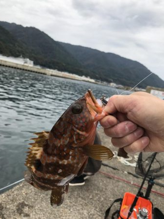 短時間釣行