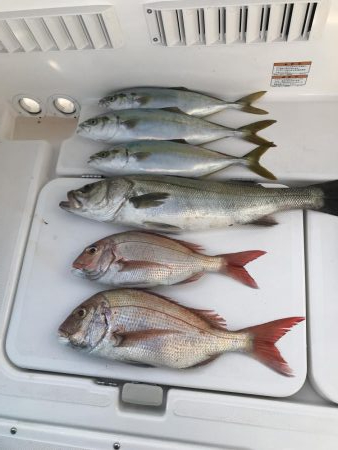 ジギング、キャスティング