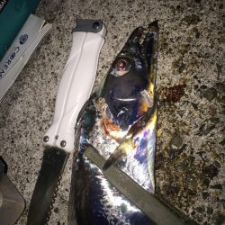 小潮の方が、、