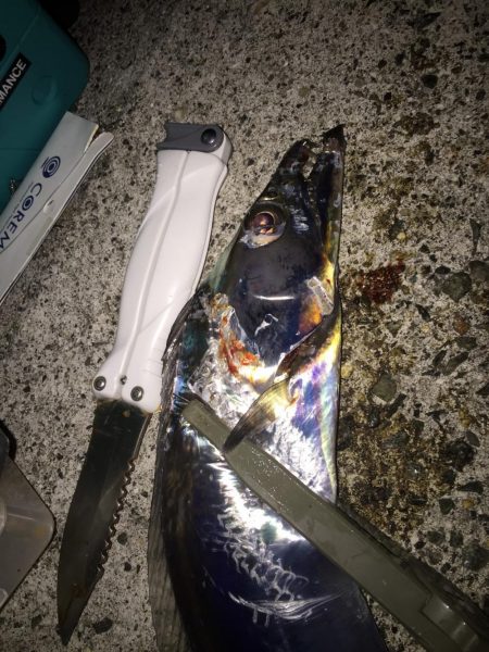 小潮の方が、、