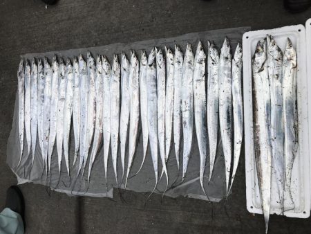 太刀魚爆釣！！