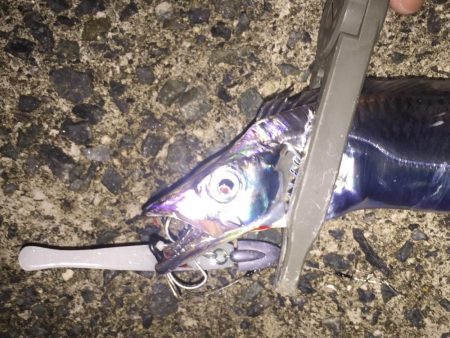 エソ番長復活‼️