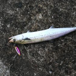 台風18号接近中、、