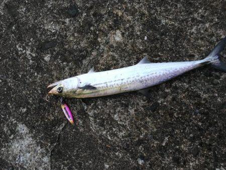 台風18号接近中、、