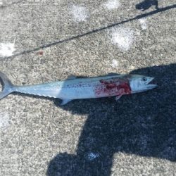 台風の影響は少ないが、、