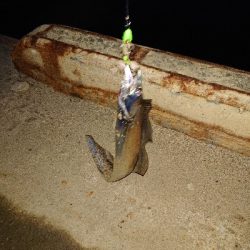 さくっとタチウオ