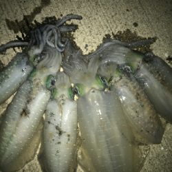 少し風ありました