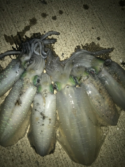 少し風ありました