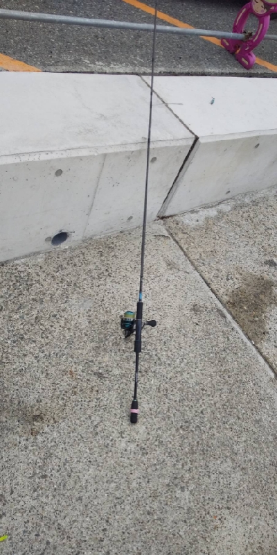 念願の奴が釣れた