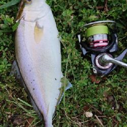 メッキ狙いのトップにシオ！