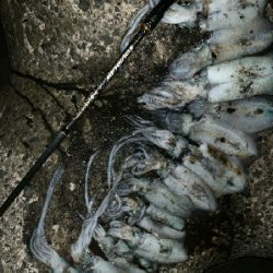 荒天…ではなかった