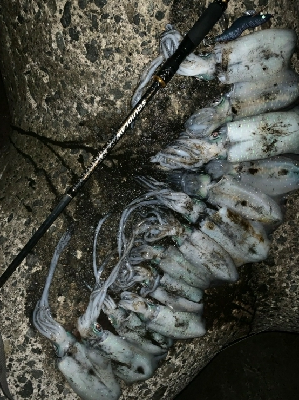 荒天…ではなかった