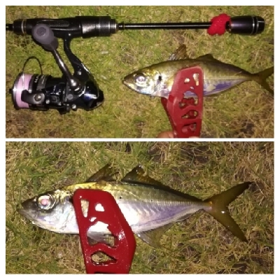 アジンガー1825〜2030