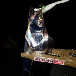 今年初、初、初!!!