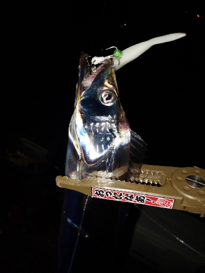 今年初、初、初!!!