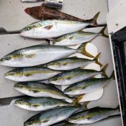 明石ジギング&タイラバ