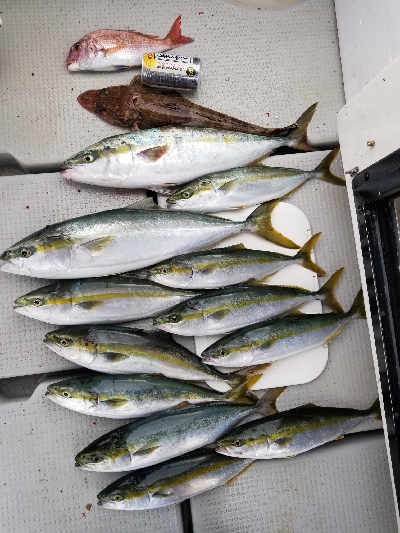 明石ジギング&タイラバ