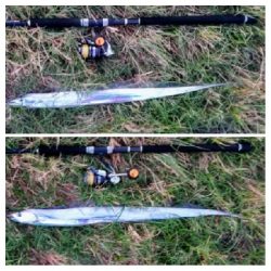 LSJiggnger0510〜0700 アジンガー1845〜1930 2105〜2130