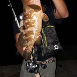 ビッグアコー!!!