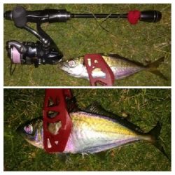 アジンガー1825〜1935