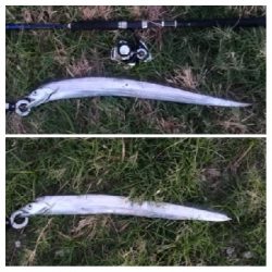 LSJigginger 0530〜0615 アジンガー1855〜1930