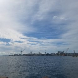 タチウオ居ない。