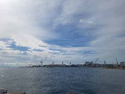 タチウオ居ない。