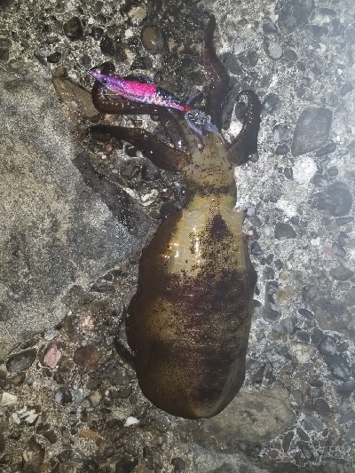 爆風の中なんとか❗