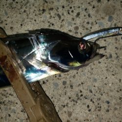 悪くないけれど