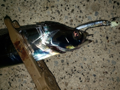 悪くないけれど