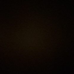 太刀魚のはずが…。