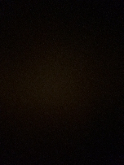 太刀魚のはずが…。