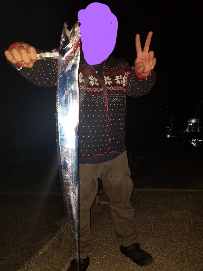 神戸タチウオワインド