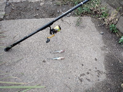 ハゼ釣り遠投有利