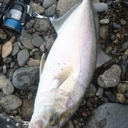 サーフライトショアジギング矢井賀