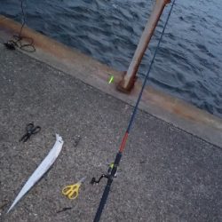 時合いがみじかっ!