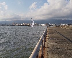 本日活性は低かったです