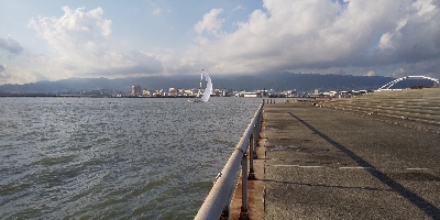 本日活性は低かったです