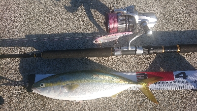 昨日の雨で激渋