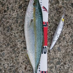 15 分だけのチャンス