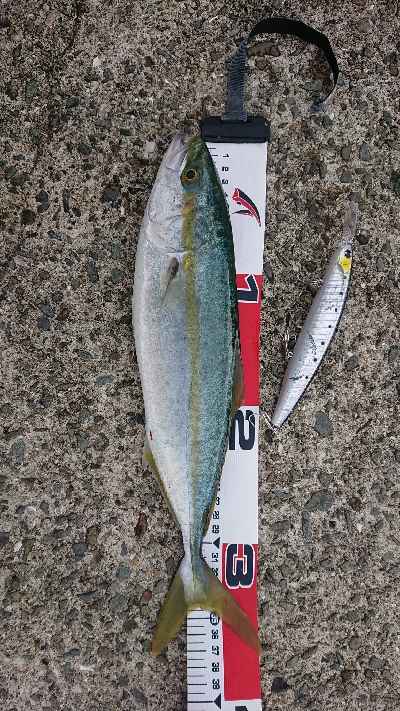 15 分だけのチャンス