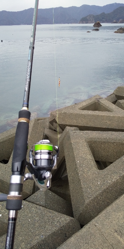 エギング初心者