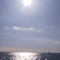 もうちょっと数釣りたい