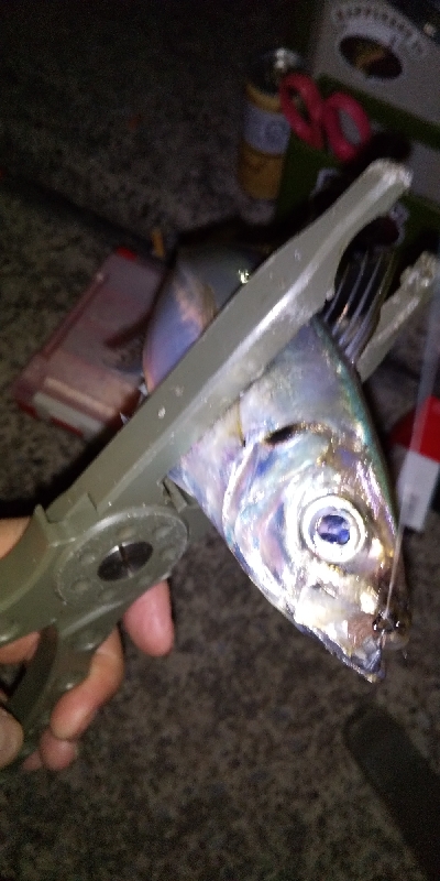 パターン掴めず…