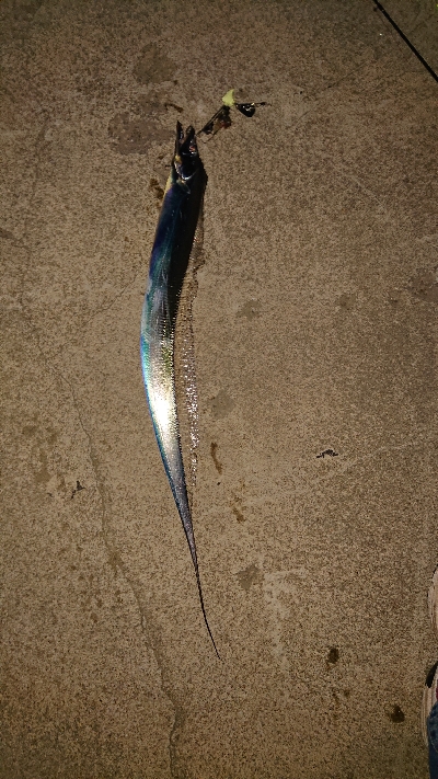 釣れて良かった。