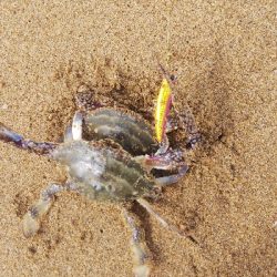 そろそろシーズン終盤かな⁉️