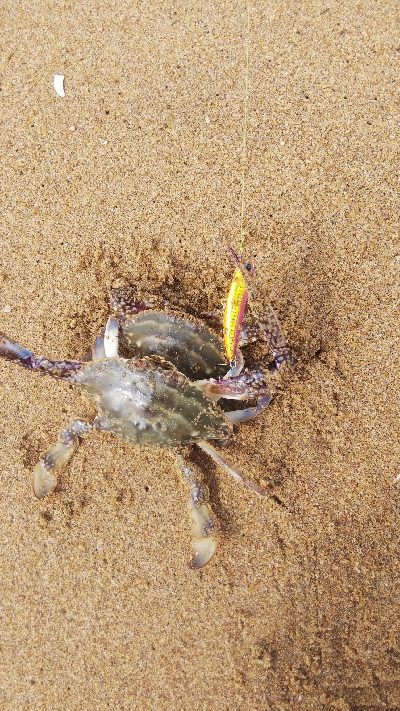 そろそろシーズン終盤かな⁉&…