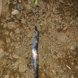 つ抜けならず。